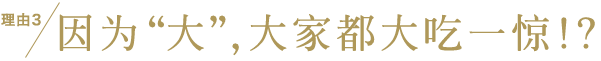 理由3 因为“大”，大家都大吃一惊！？