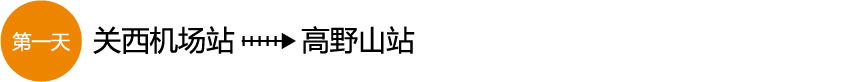 关西机场站 ⇒ 高野山站